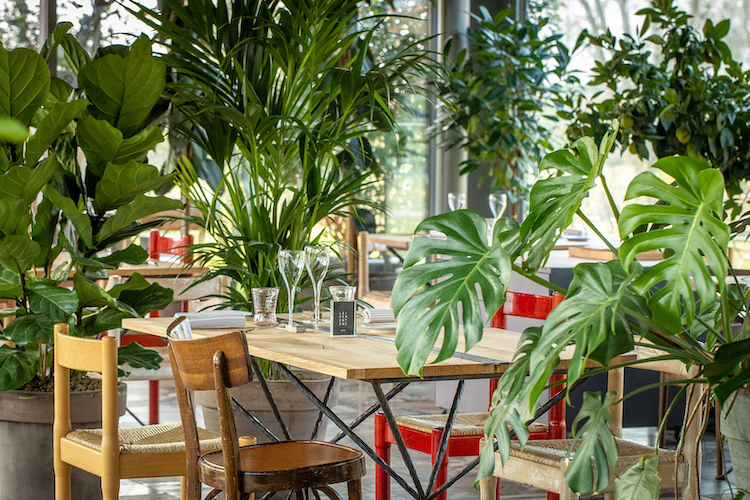 Le Cementine - Ristorante