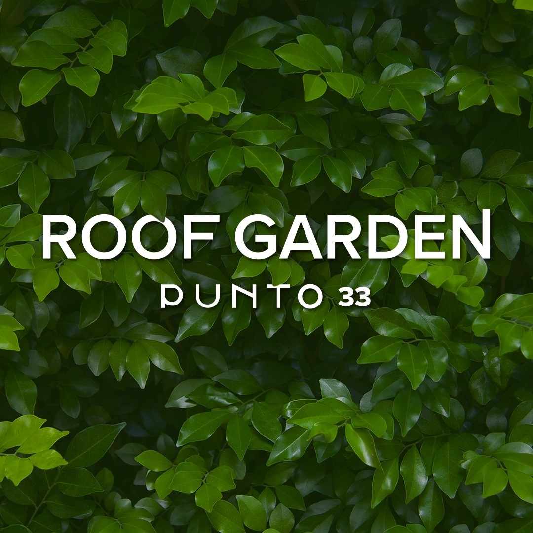 Roof Garden Punto 33 - Ristorante