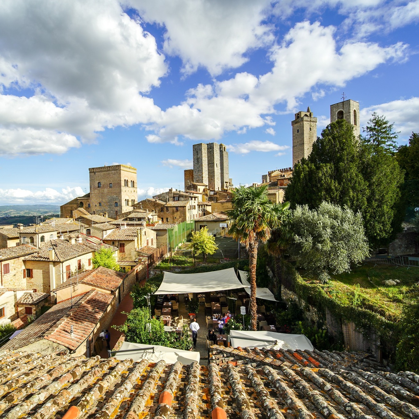 La Mandragola - Ristorante