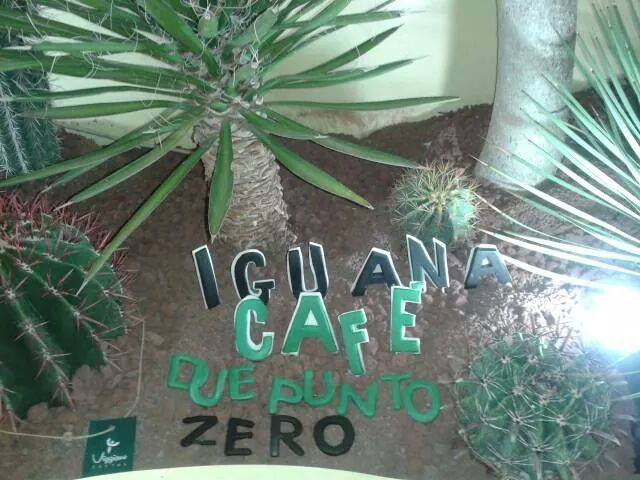 Iguana café  - Ristorante