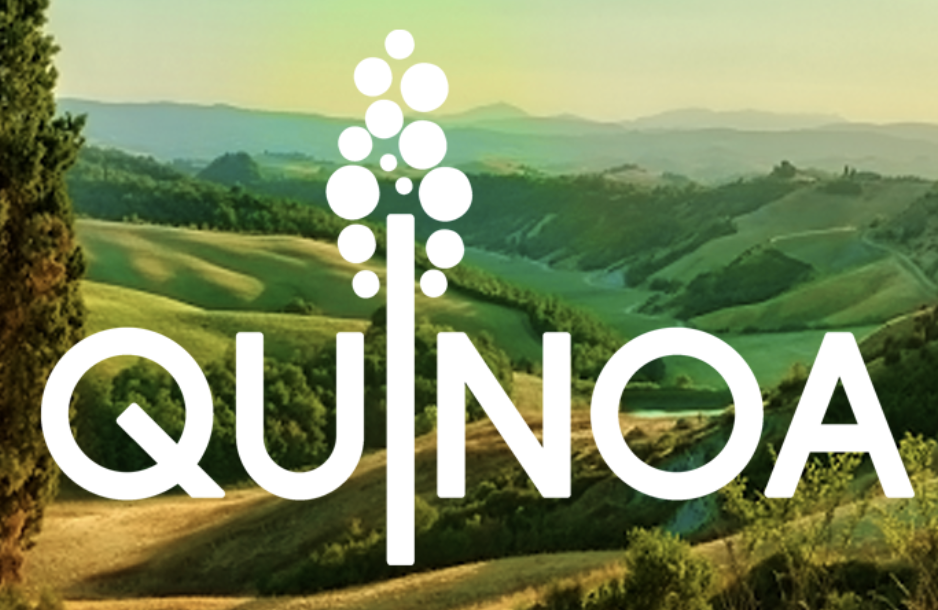 Quinoa - Ristorante